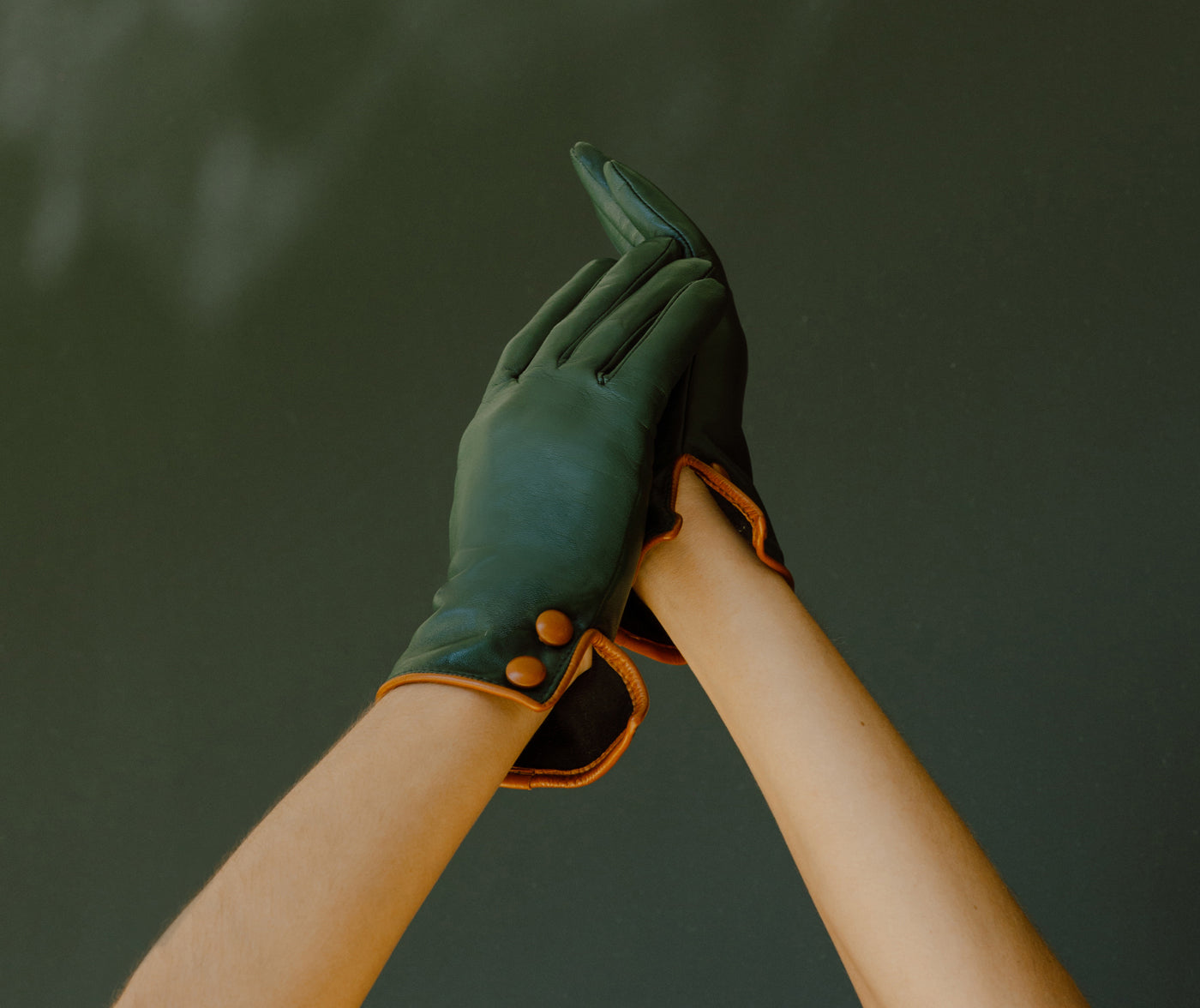 Coleção de luvas de senhora em pele