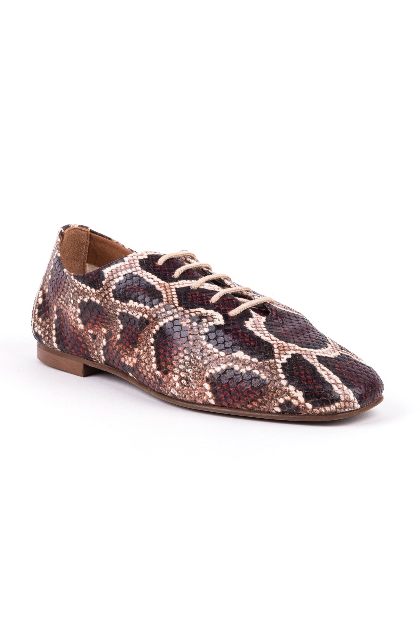 Sapatos rasos luva com atacadores em pele gravada cobra