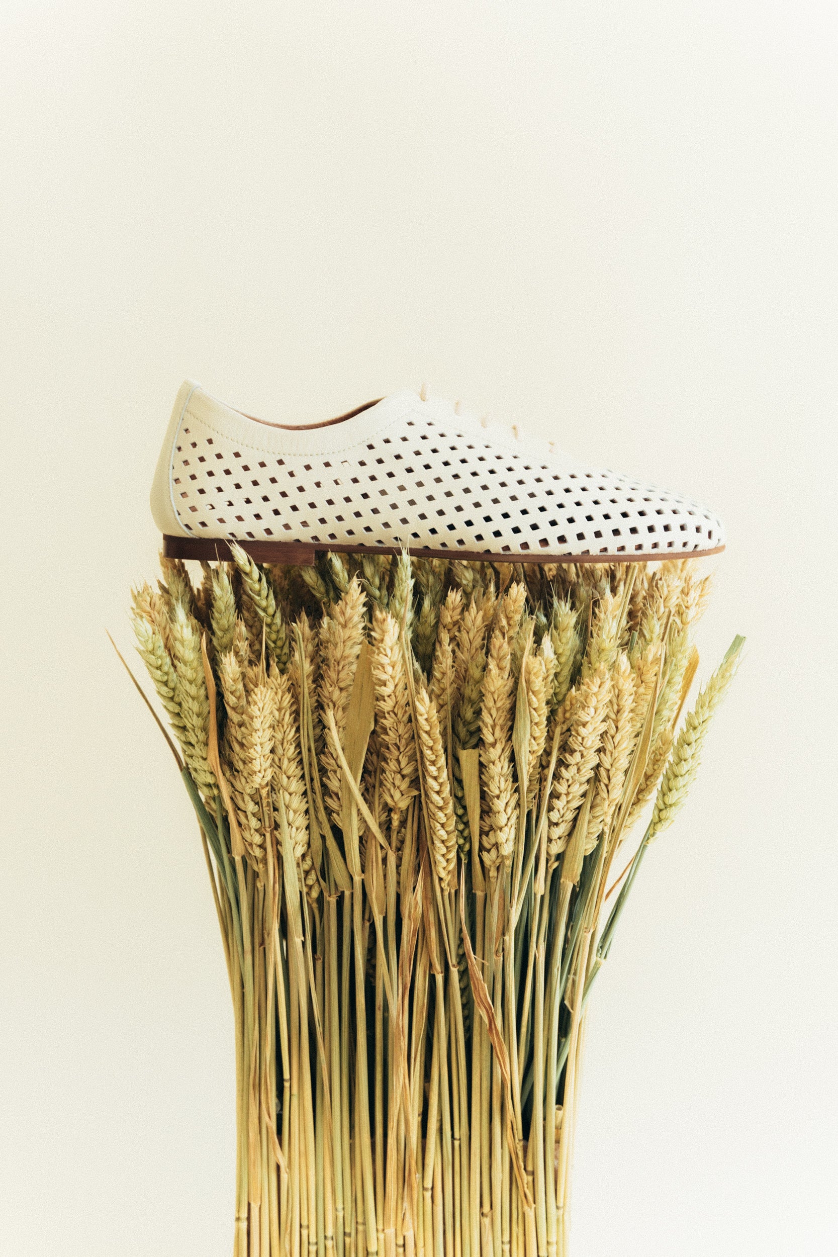 Sapatos rasos em pele